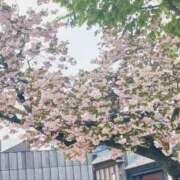 ヒメ日記 2026/04/17 08:12 投稿 ひなの 美熟女倶楽部Hip's 春日部店