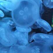 ヒメ日記 2026/02/28 18:34 投稿 貴子 CLUBドレミ