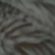 ヒメ日記 2026/02/13 08:33 投稿 ななせ/敏感 回春性感メンズエステ猫の手 大垣／羽島