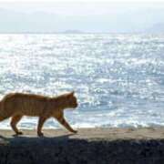 ヒメ日記 2026/02/03 11:48 投稿 松永 あんず こあくまな熟女たち 本厚木店(KOAKUMAグループ)