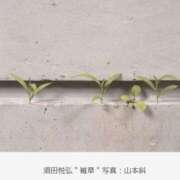 ヒメ日記 2026/03/25 09:10 投稿 松永 あんず こあくまな熟女たち 本厚木店(KOAKUMAグループ)