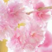 ヒメ日記 2026/04/08 18:06 投稿 松永 あんず こあくまな熟女たち 本厚木店(KOAKUMAグループ)