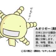 ヒメ日記 2026/04/10 08:32 投稿 松永 あんず こあくまな熟女たち 本厚木店(KOAKUMAグループ)