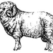 松永 あんず 悲しいお知らせと新たな出会い こあくまな熟女たち 本厚木店(KOAKUMAグループ)