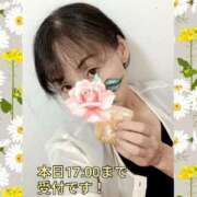 ヒメ日記 2026/09/23 14:41 投稿 松永 あんず こあくまな熟女たち 本厚木店(KOAKUMAグループ)