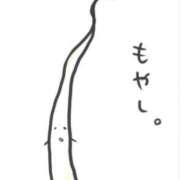 ヒメ日記 2026/10/15 12:50 投稿 松永 あんず こあくまな熟女たち 本厚木店(KOAKUMAグループ)