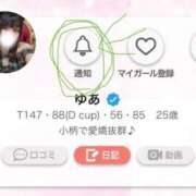 ヒメ日記 2026/01/29 03:20 投稿 ゆあ One More 奥様 鶯谷店