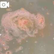 ヒメ日記 2026/02/28 12:02 投稿 しおり 蒲田ウルトラギャラクシー