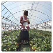 しおり 【絶対】シフトについて✨️ 蒲田ウルトラギャラクシー