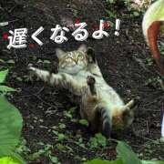 ヒメ日記 2026/06/21 22:52 投稿 しおり 蒲田ウルトラギャラクシー