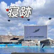 ヒメ日記 2026/08/23 21:51 投稿 しおり 蒲田ウルトラギャラクシー
