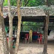 ヒメ日記 2026/02/15 14:15 投稿 ゆり バニラシュガー古河店