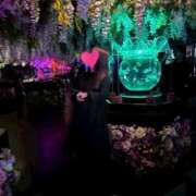 ゆり 出勤します🐟 バニラシュガー古河店