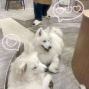 ヒメ日記 2026/03/02 15:05 投稿 ゆり バニラシュガー古河店