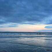 ヒメ日記 2026/03/16 19:55 投稿 ゆり バニラシュガー古河店