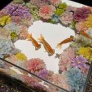 白雪つぐみ 合言葉 禁断のメンズエステR-18堺・南大阪店