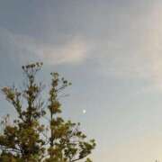 白雪つぐみ 合言葉 禁断のメンズエステR-18堺・南大阪店