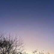 ヒメ日記 2026/01/24 17:35 投稿 ゆり バニラシュガー久喜店