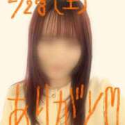 ヒメ日記 2026/02/28 23:05 投稿 ゆり バニラシュガー久喜店