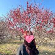 ヒメ日記 2026/03/10 15:05 投稿 ゆり バニラシュガー久喜店