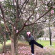 ヒメ日記 2026/03/23 14:45 投稿 ゆり バニラシュガー久喜店