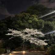 ヒメ日記 2026/04/02 15:15 投稿 ゆり バニラシュガー久喜店