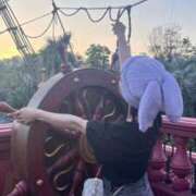 ヒメ日記 2026/01/31 10:01 投稿 ありさ ワンダーホール24