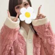 さら しゅー7 めっちゃスイスク京都店