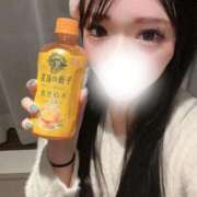 ヒメ日記 2026/02/08 04:31 投稿 あいり☆従順ドM癒し系♡♡♡ じゃむじゃむ