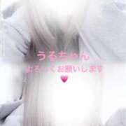 ヒメ日記 2026/01/31 05:28 投稿 うる ギャルサー