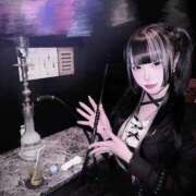 ヒメ日記 2026/02/11 02:00 投稿 ひめ 秋葉原コスプレ学園(AKG)