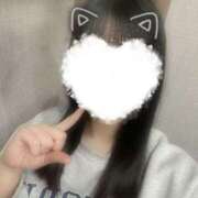 ヒメ日記 2026/01/27 21:00 投稿 ほなみ＠未経験 スピードエコ天王寺店