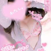 ヒメ日記 2026/04/02 17:59 投稿 せりな 小田原人妻城