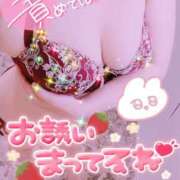 ヒメ日記 2026/05/15 20:52 投稿 せりな 小田原人妻城