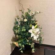 ヒメ日記 2026/01/26 16:08 投稿 れみ（れみ）ベーシック新人 aroma ace.