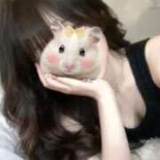 ヒメ日記 2026/02/25 18:58 投稿 れみ（れみ）ベーシック新人 aroma ace.