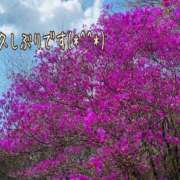 ヒメ日記 2025/04/16 10:32 投稿 まりか 大阪ぽっちゃりマニア 十三店