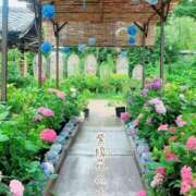 ヒメ日記 2025/06/25 14:59 投稿 まりか 大阪ぽっちゃりマニア 十三店