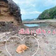 ヒメ日記 2025/09/26 18:06 投稿 まりか 大阪ぽっちゃりマニア 十三店