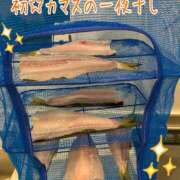 ヒメ日記 2026/02/10 18:01 投稿 まりか 大阪ぽっちゃりマニア 十三店