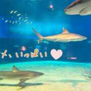 ヒメ日記 2026/03/15 14:55 投稿 まりか 大阪ぽっちゃりマニア 十三店