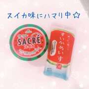 ヒメ日記 2026/07/27 08:02 投稿 まりか 大阪ぽっちゃりマニア 十三店
