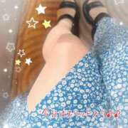 ヒメ日記 2026/08/09 11:37 投稿 まりか 大阪ぽっちゃりマニア 十三店