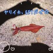 ヒメ日記 2026/08/20 13:14 投稿 まりか 大阪ぽっちゃりマニア 十三店