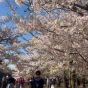涼宮 つむぎ 明日！🥹 アリス女学院 日本橋校