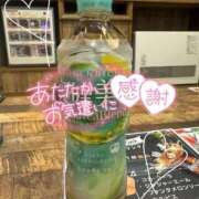 ヒメ日記 2026/04/15 13:10 投稿 ほたる S級鑑定団