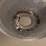 ヒメ日記 2026/02/04 10:23 投稿 おと 吉原ファーストレディ