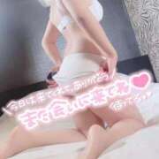 ヒメ日記 2026/02/15 19:20 投稿 まい サンキュー沼津店（サンキューグループ）