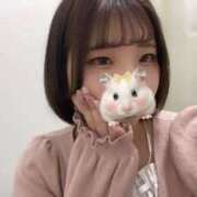 ヒメ日記 2026/02/04 10:01 投稿 めい S PERO PERO NINE