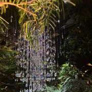 ヒメ日記 2026/03/10 22:38 投稿 朱音【あかね】 輝女